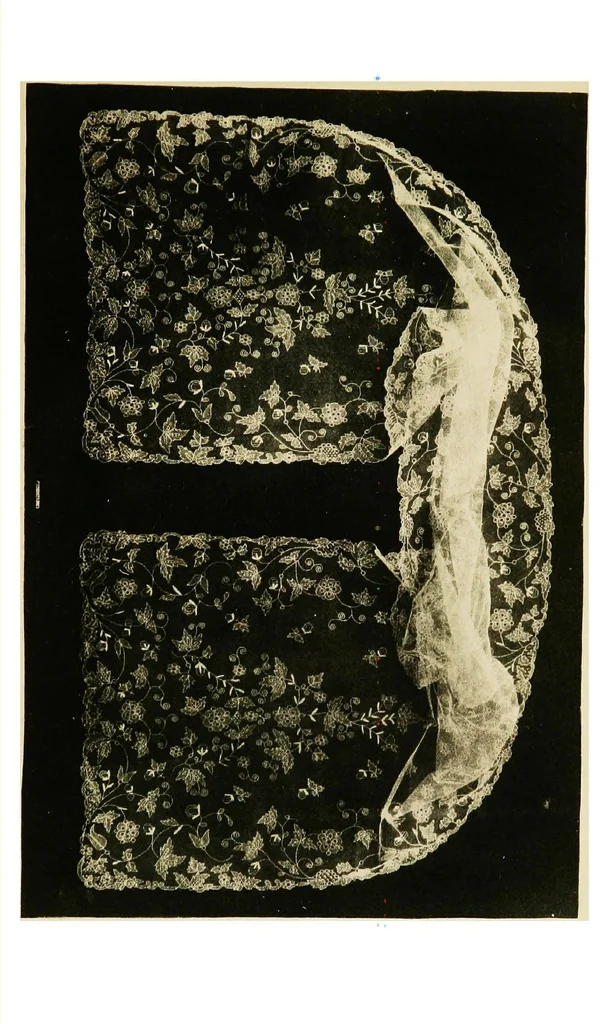An illustration from A renascence of the Irish art of lace-making. Illustrated by photographic reproductions of Irish laces, made from new and specially designed patterns, 1888, leaf 60