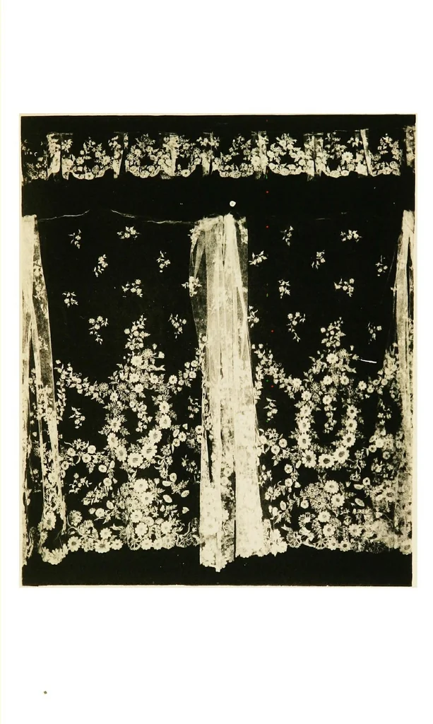 An illustration from A renascence of the Irish art of lace-making. Illustrated by photographic reproductions of Irish laces, made from new and specially designed patterns, 1888, leaf 64