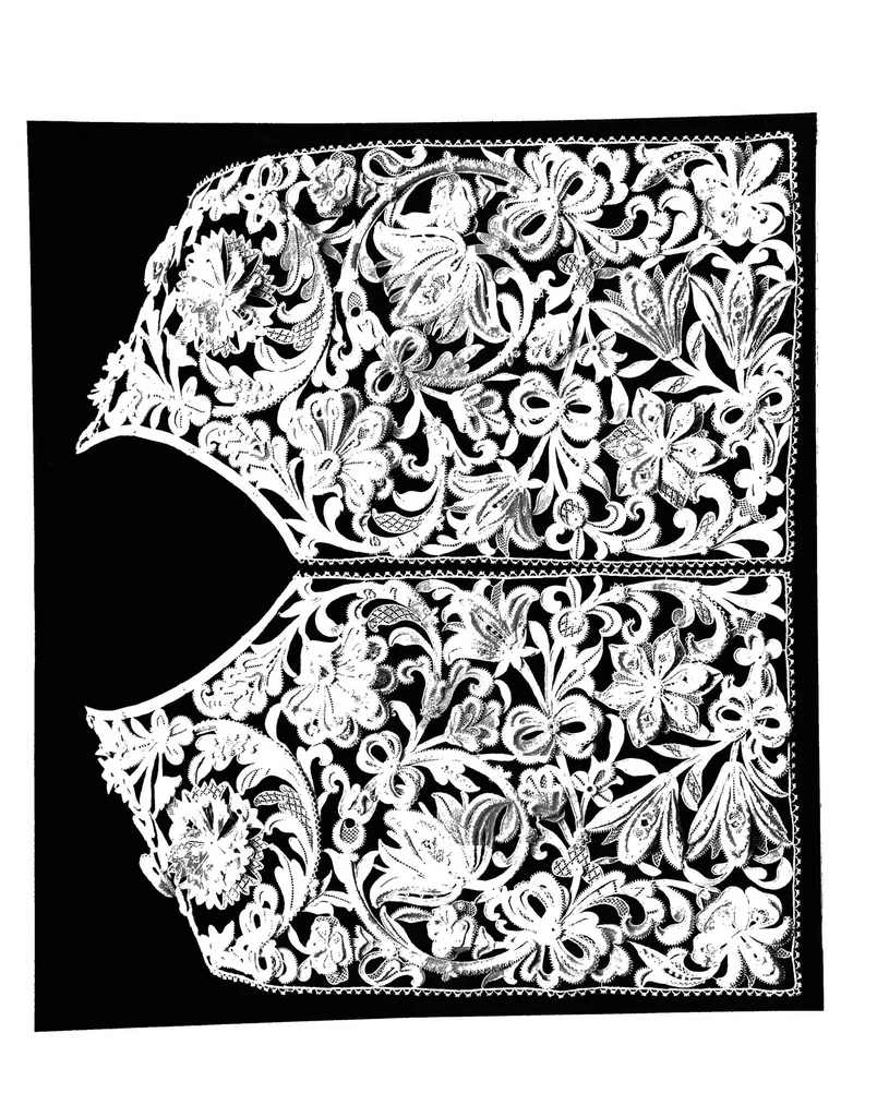 An illustration from Lace album; a series of twenty-six plates of designs for lace, 1878, leaf 46