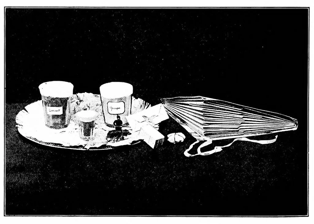 An illustration from The complete playcraft book, 1929, leaf 381