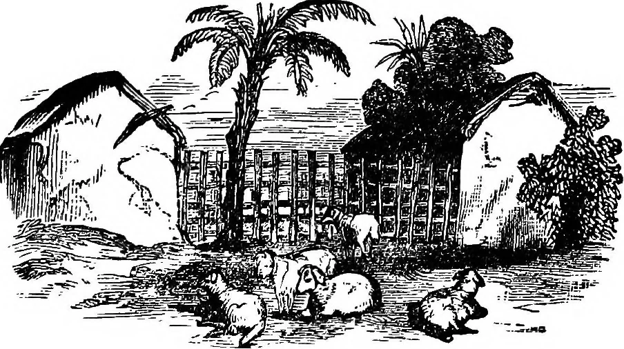 An illustration from Our homes and their adornments; or, How to build, finish, furnish and adorn a home ... the whole being designed to make happy homes for happy people, 1882, leaf 108