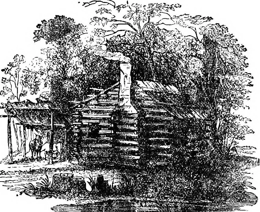 An illustration from Our homes and their adornments; or, How to build, finish, furnish and adorn a home ... the whole being designed to make happy homes for happy people, 1882, leaf 110