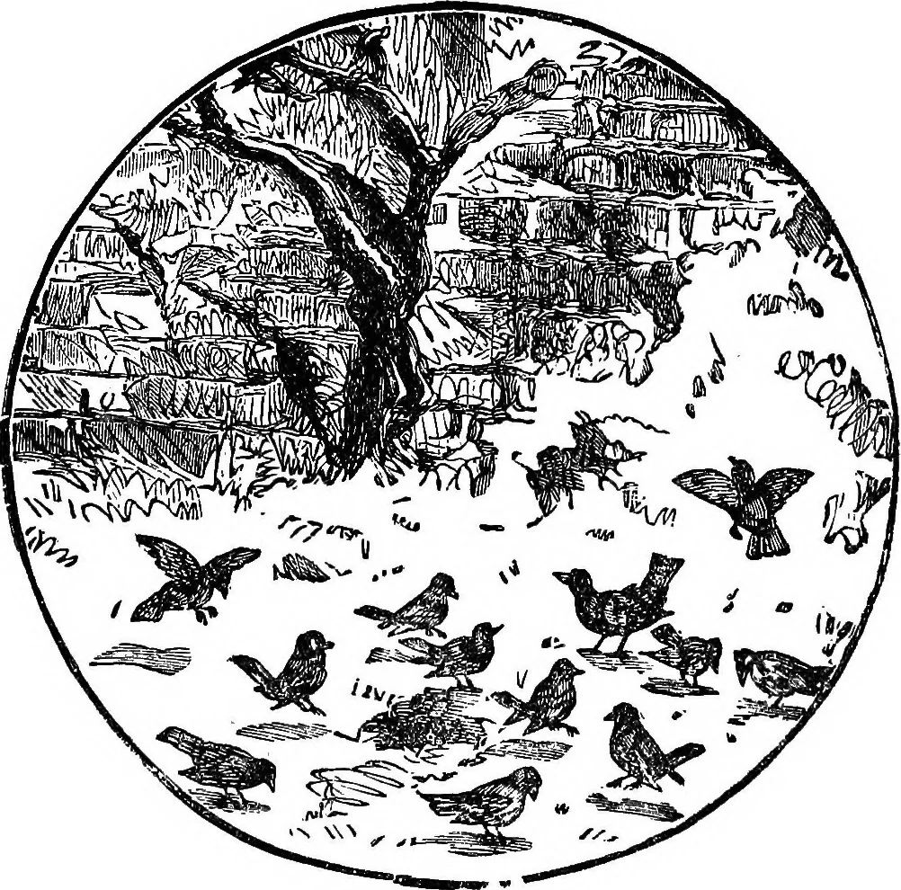 An illustration from Our homes and their adornments; or, How to build, finish, furnish and adorn a home ... the whole being designed to make happy homes for happy people, 1882, leaf 177
