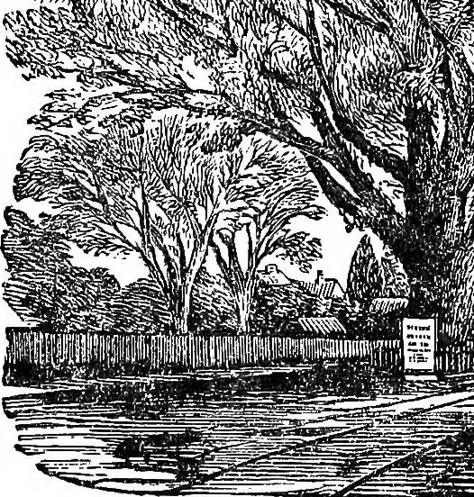 An illustration from Our homes and their adornments; or, How to build, finish, furnish and adorn a home ... the whole being designed to make happy homes for happy people, 1882, leaf 213