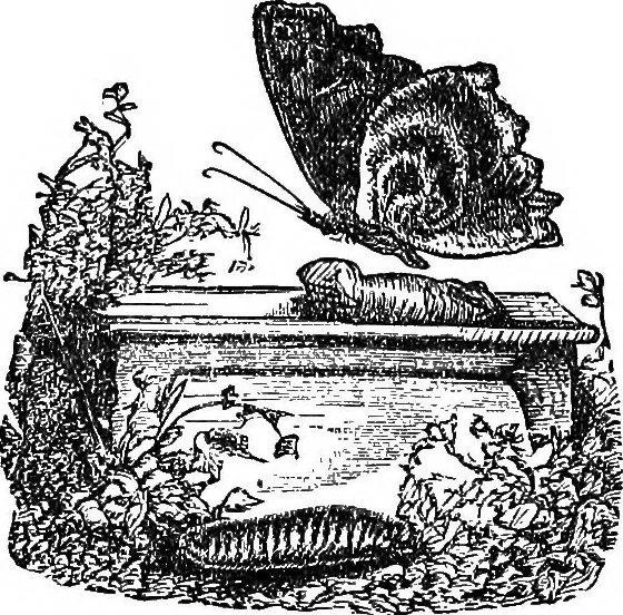 An illustration from Our homes and their adornments; or, How to build, finish, furnish and adorn a home ... the whole being designed to make happy homes for happy people, 1882, leaf 315