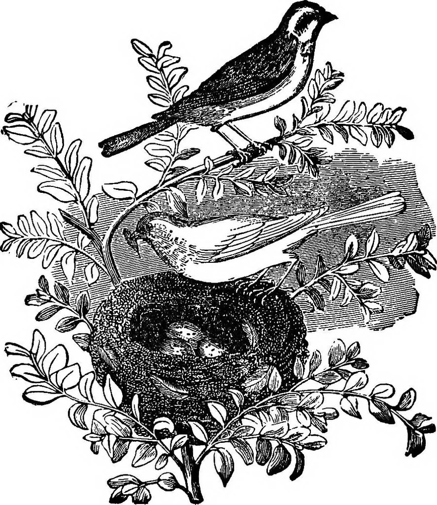 An illustration from Our homes and their adornments; or, How to build, finish, furnish and adorn a home ... the whole being designed to make happy homes for happy people, 1882, leaf 391