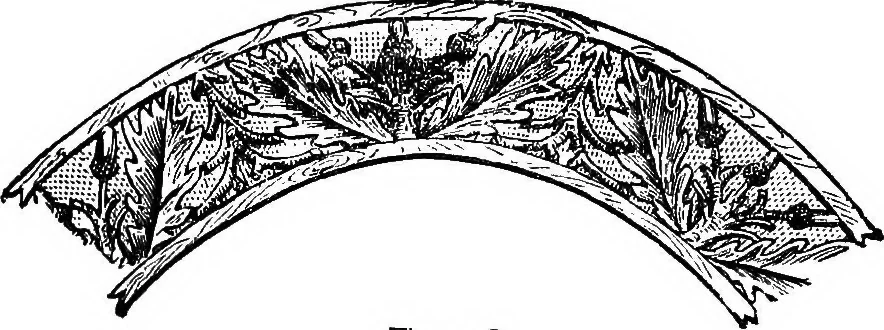 An illustration from Our homes and their adornments; or, How to build, finish, furnish and adorn a home ... the whole being designed to make happy homes for happy people, 1882, leaf 395