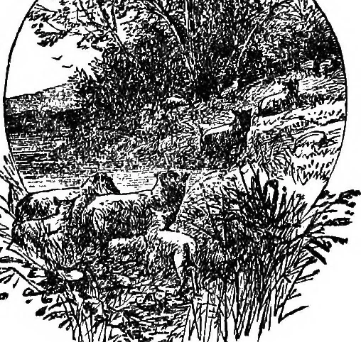 An illustration from Our homes and their adornments; or, How to build, finish, furnish and adorn a home ... the whole being designed to make happy homes for happy people, 1882, leaf 451