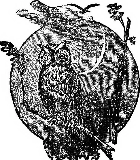 An illustration from Our homes and their adornments; or, How to build, finish, furnish and adorn a home ... the whole being designed to make happy homes for happy people, 1882, leaf 57