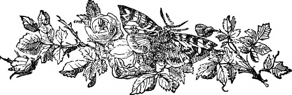 An illustration from Our homes and their adornments; or, How to build, finish, furnish and adorn a home ... the whole being designed to make happy homes for happy people, 1882, leaf 63