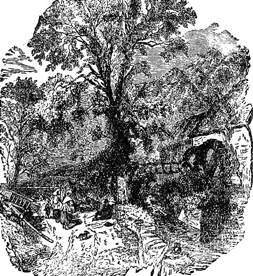 An illustration from Our homes and their adornments; or, How to build, finish, furnish and adorn a home ... the whole being designed to make happy homes for happy people, 1882, leaf 76