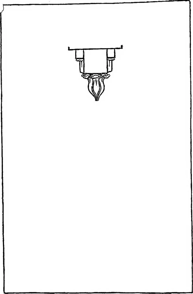 An illustration from The meaning of architecture; an essay in constructive criticism, 1918, leaf 39