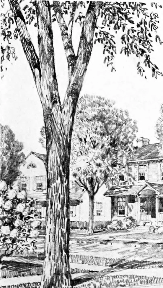 An illustration from The housing book; containing photographic reproductions, with floor plans of workingmen's homes. One and two family houses of frame, brick, stucco and concrete construction; also four, six and nine family apartments. Showing single houses, groups and developments that have been built in various parts of the United States, 1919, leaf 48