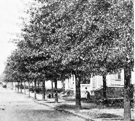 An illustration from Third report of the Commission on Beautifying the City of Norfolk, Virginia : July 1913-July 1915, 1915, leaf 24