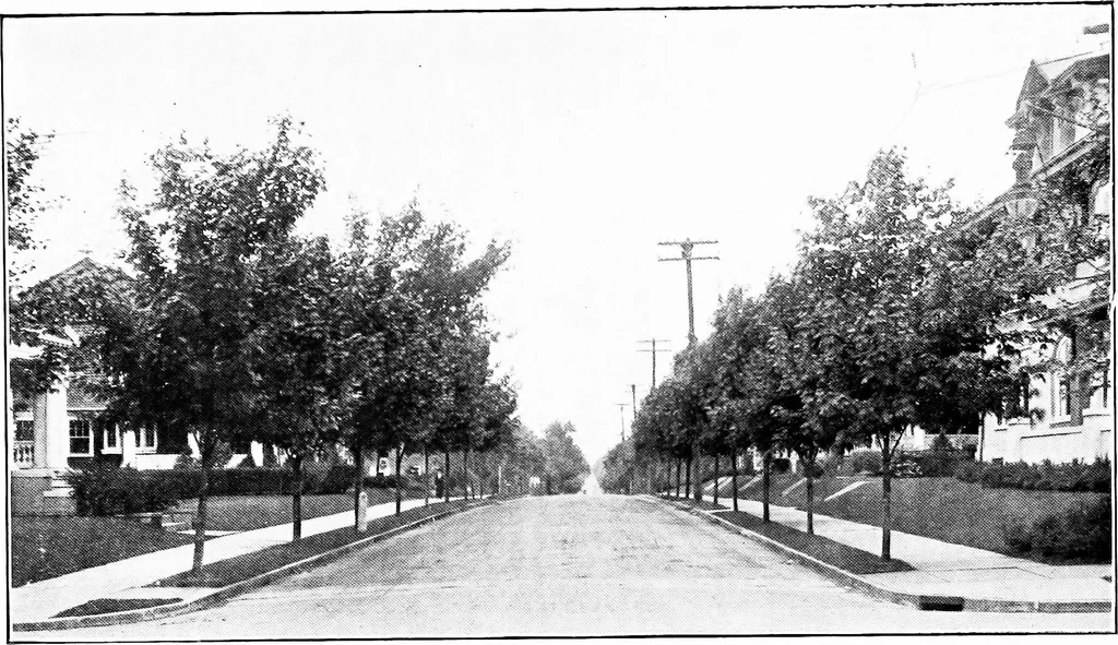 An illustration from Third report of the Commission on Beautifying the City of Norfolk, Virginia : July 1913-July 1915, 1915, leaf 26