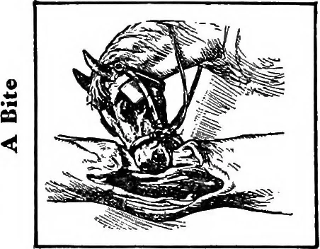 An illustration from Third report of the Commission on Beautifying the City of Norfolk, Virginia : July 1913-July 1915, 1915, leaf 39