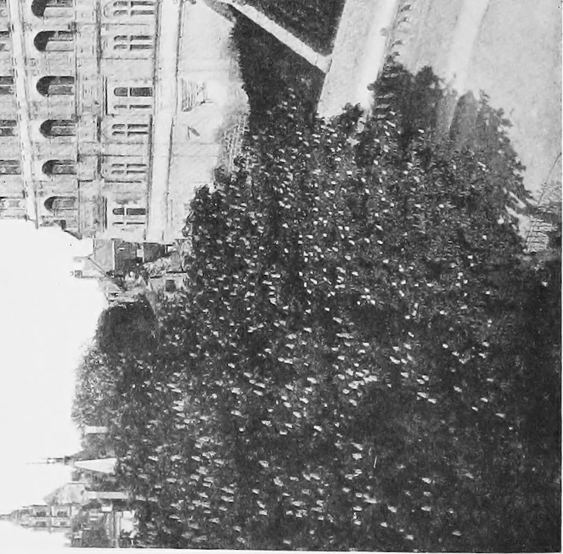 An illustration from The châteaux of Touraine, 1906, leaf 333