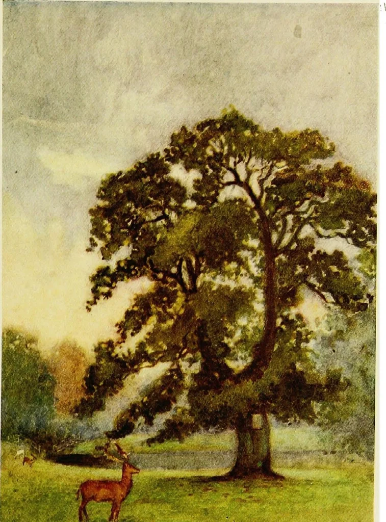 An illustration from The greater abbeys of England, 1908, leaf 348