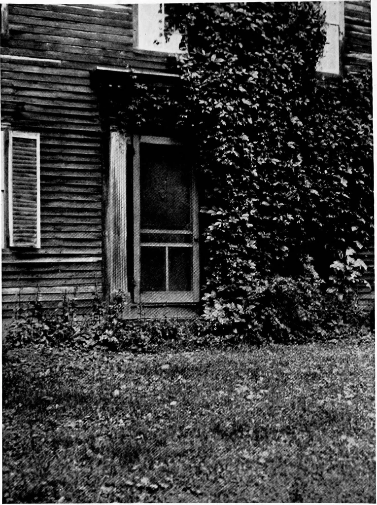 An illustration from Old New England doorways, 1919, leaf 116