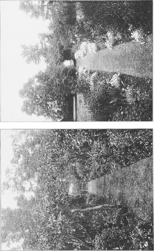 An illustration from Picturesque English cottages and their doorway gardens, 1905, leaf 63
