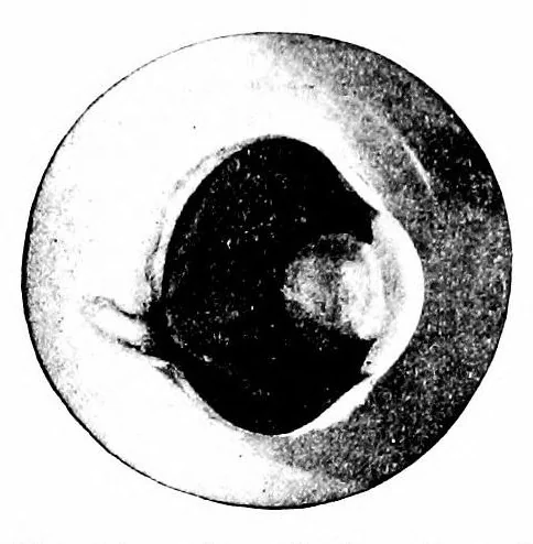 An illustration from Color and its applications, 1921, leaf 131