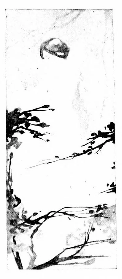 An illustration from Color and its applications, 1921, leaf 295