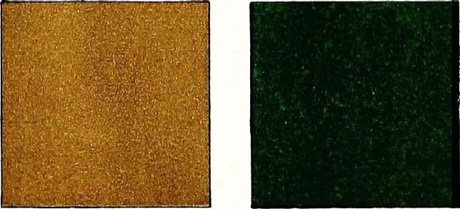 An illustration from Leadless decorative tiles, faience, and mosaic, comprising notes and excerpts on the history, materials, manufacture & use of ornamental flooring tiles, ceramic mosaic, and decorative tiles and faience, 1904, leaf 812