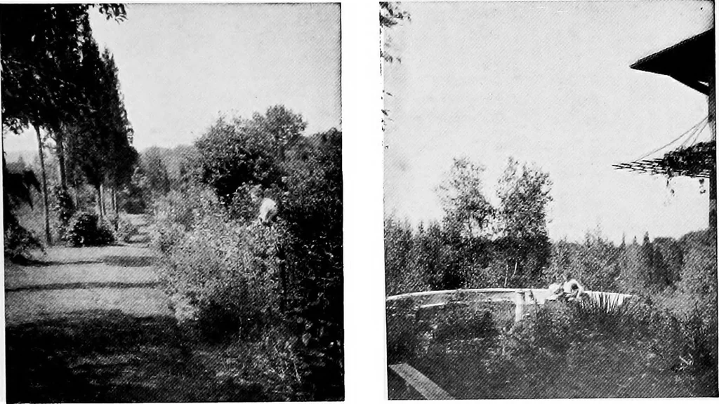 An illustration from Inexpensive homes of individuality; being a collection of photographs and floor plans illustrating certain of America's best country and suburban homes of moderate size, 1915, leaf 58