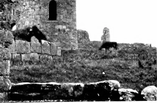 An illustration from Irish ecclesiastical architecture, with some notice of similar or related work in England, Scotland and elsewhere, 1910, leaf 144