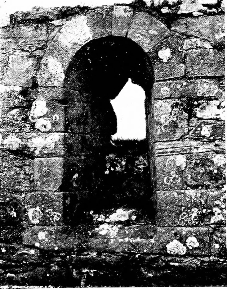 An illustration from Irish ecclesiastical architecture, with some notice of similar or related work in England, Scotland and elsewhere, 1910, leaf 230