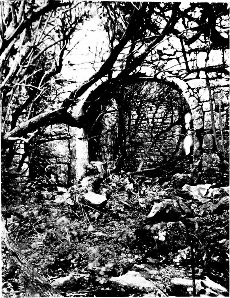 An illustration from Irish ecclesiastical architecture, with some notice of similar or related work in England, Scotland and elsewhere, 1910, leaf 246