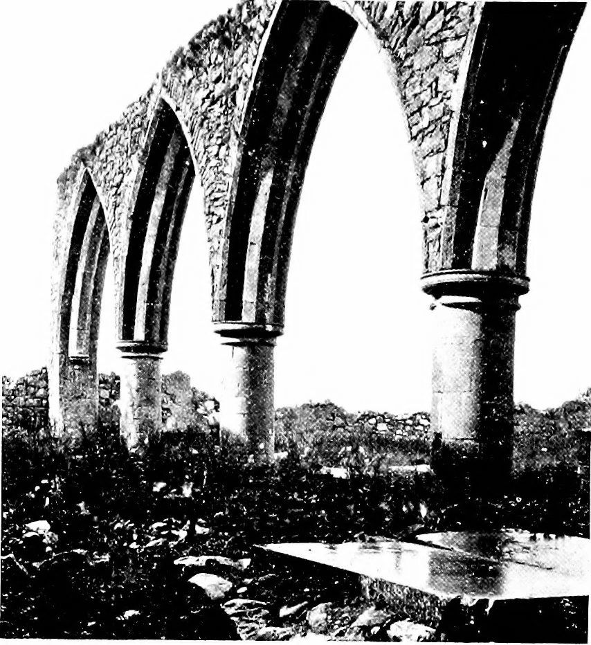 An illustration from Irish ecclesiastical architecture, with some notice of similar or related work in England, Scotland and elsewhere, 1910, leaf 364