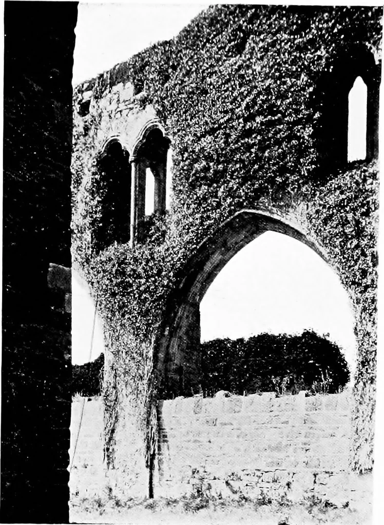 An illustration from Irish ecclesiastical architecture, with some notice of similar or related work in England, Scotland and elsewhere, 1910, leaf 366
