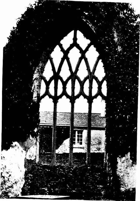 An illustration from Irish ecclesiastical architecture, with some notice of similar or related work in England, Scotland and elsewhere, 1910, leaf 442
