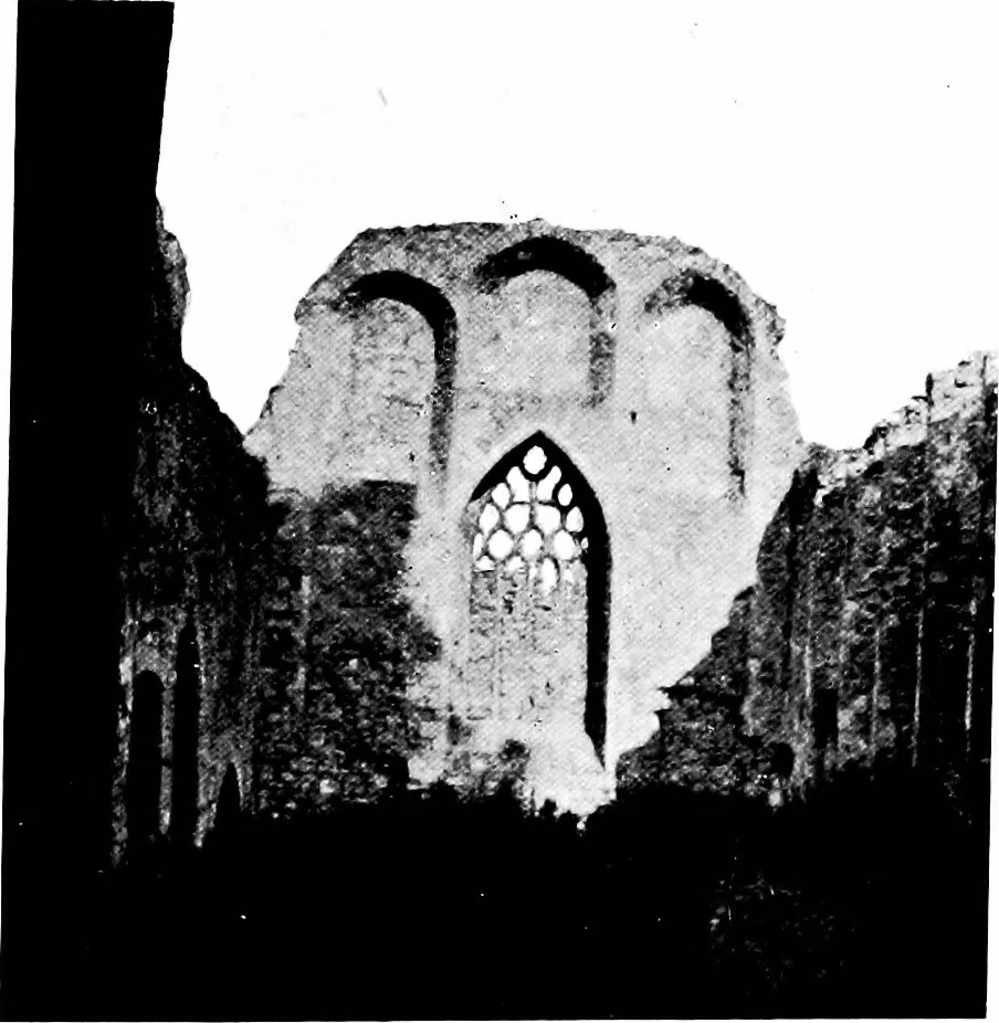 An illustration from Irish ecclesiastical architecture, with some notice of similar or related work in England, Scotland and elsewhere, 1910, leaf 442