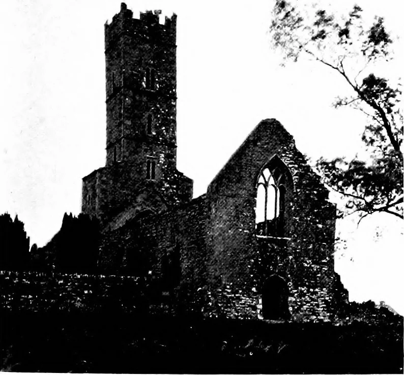 An illustration from Irish ecclesiastical architecture, with some notice of similar or related work in England, Scotland and elsewhere, 1910, leaf 450