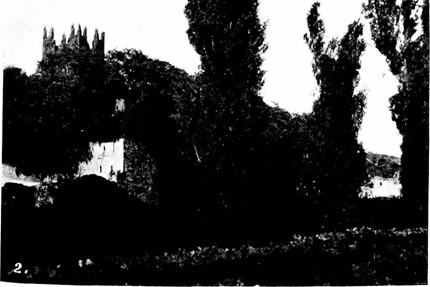 An illustration from Irish ecclesiastical architecture, with some notice of similar or related work in England, Scotland and elsewhere, 1910, leaf 450