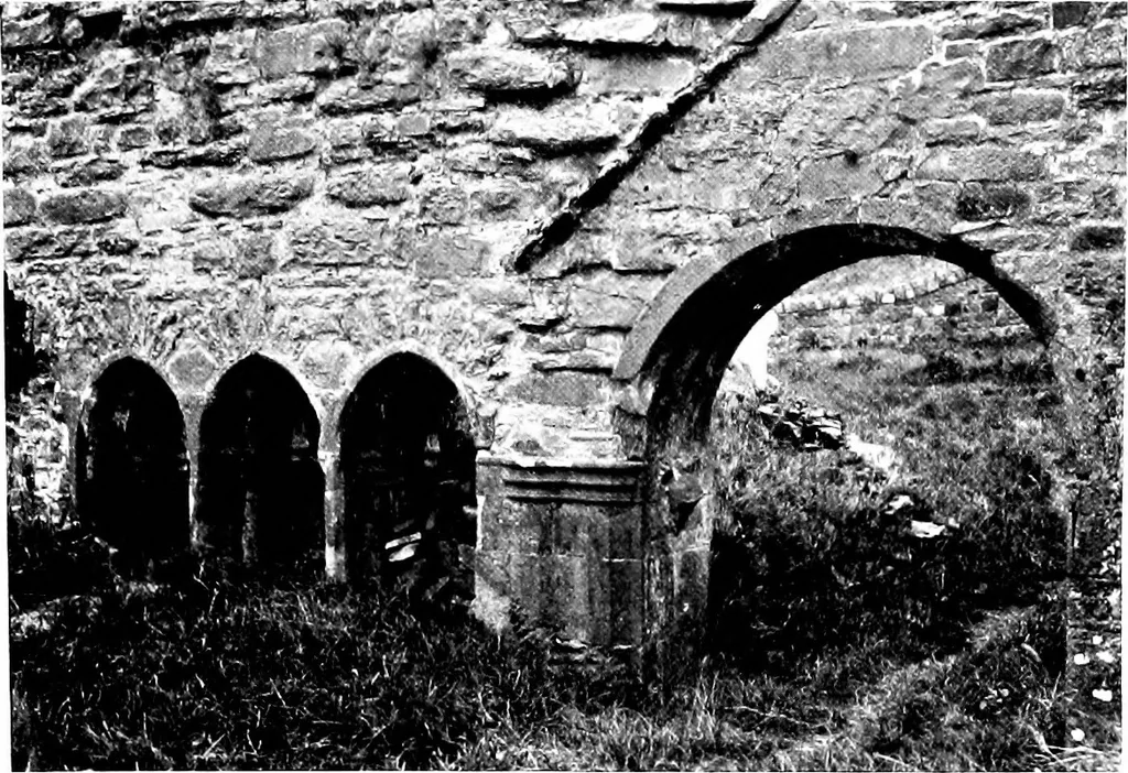 An illustration from Irish ecclesiastical architecture, with some notice of similar or related work in England, Scotland and elsewhere, 1910, leaf 458