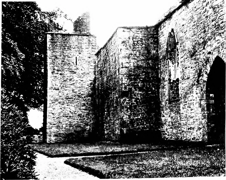 An illustration from Irish ecclesiastical architecture, with some notice of similar or related work in England, Scotland and elsewhere, 1910, leaf 460