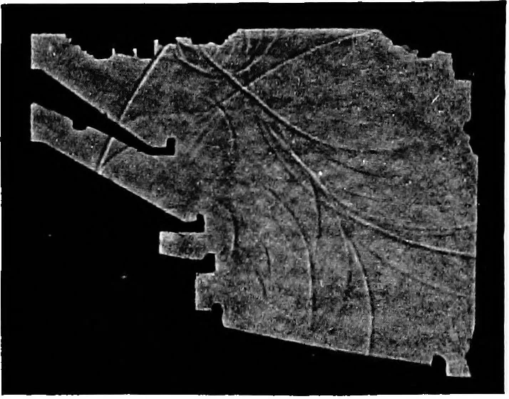 An illustration from Collected papers on acoustics, 1922, leaf 196