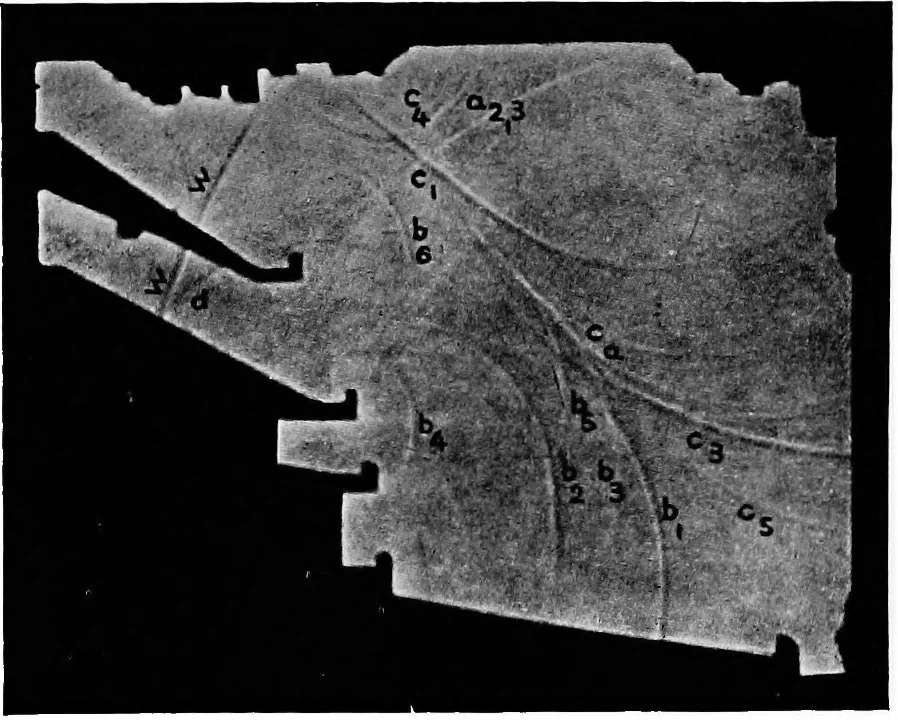 An illustration from Collected papers on acoustics, 1922, leaf 197