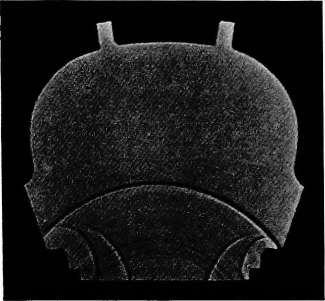 An illustration from Collected papers on acoustics, 1922, leaf 200