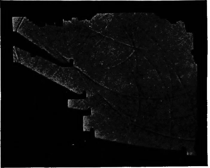 An illustration from Collected papers on acoustics, 1922, leaf 249