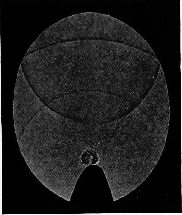 An illustration from Collected papers on acoustics, 1922, leaf 278