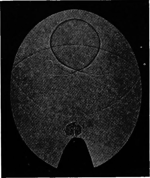 An illustration from Collected papers on acoustics, 1922, leaf 278