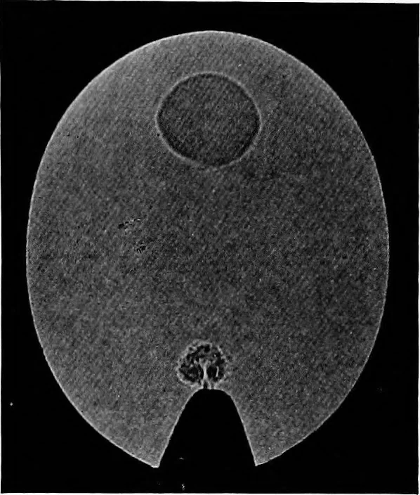 An illustration from Collected papers on acoustics, 1922, leaf 278