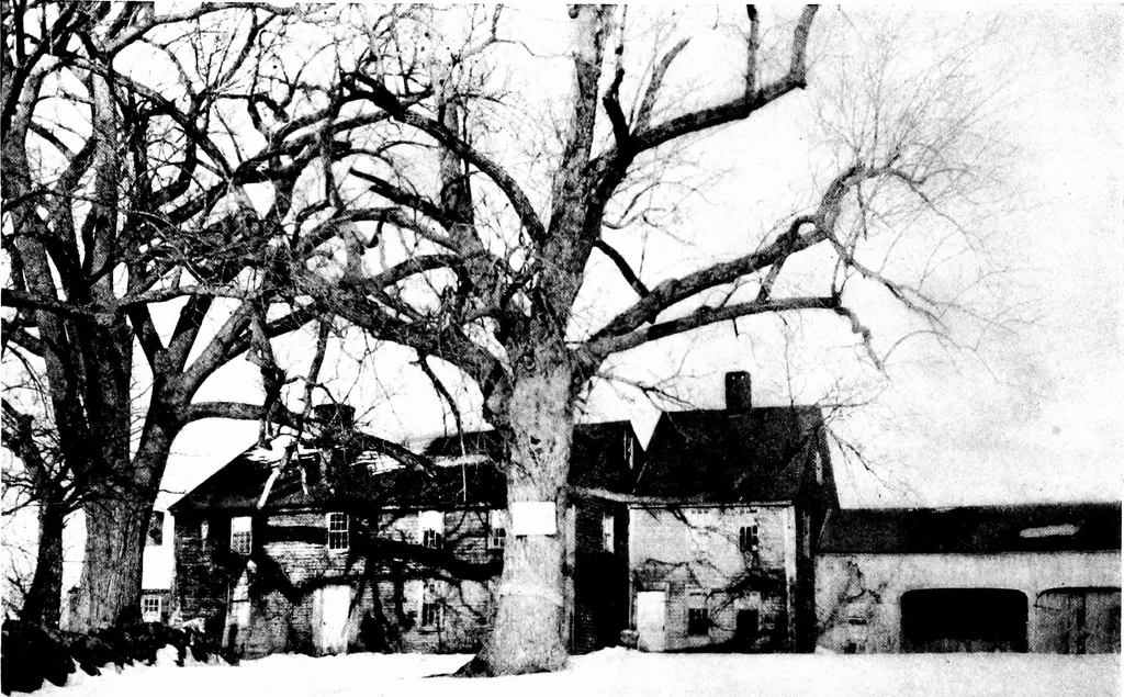 An illustration from New homes under old roofs, 1916, leaf 77