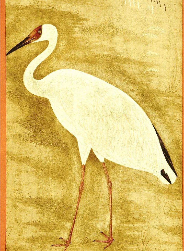An illustration from Indian sculpture and painting, illustrated by typical masterpieces, with an explanation of their motives and ideals, 1908, leaf 381