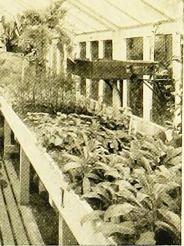 An illustration from Book of home building and decoration, prepared in cooperation with and under the direction of the leading manufacturers of the country, 1912, leaf 229