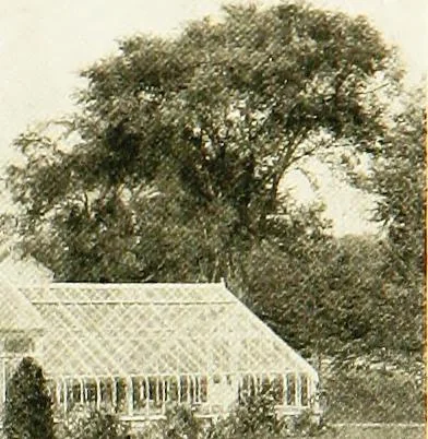 An illustration from Book of home building and decoration, prepared in cooperation with and under the direction of the leading manufacturers of the country, 1912, leaf 231